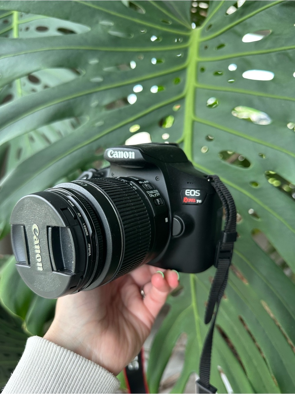 Canon EOS Rebel T6 DSLR Camera in Black with Black Lens